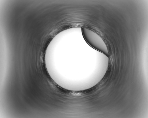 X0000084540570200703161630