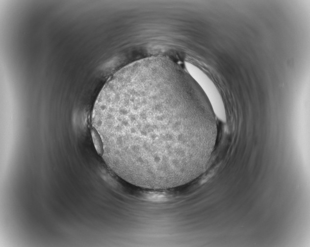 X0000084540574200703161630