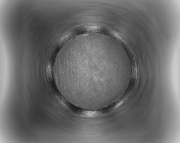 X0000084540575200703161630