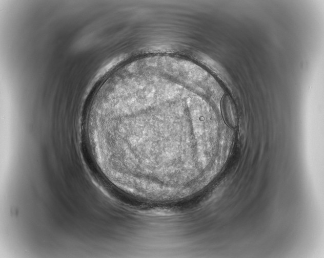 X0000084540578200703161630