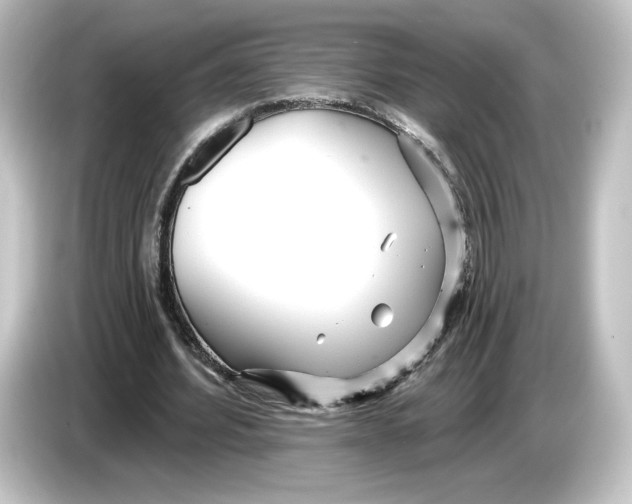 X0000084540580200703161630