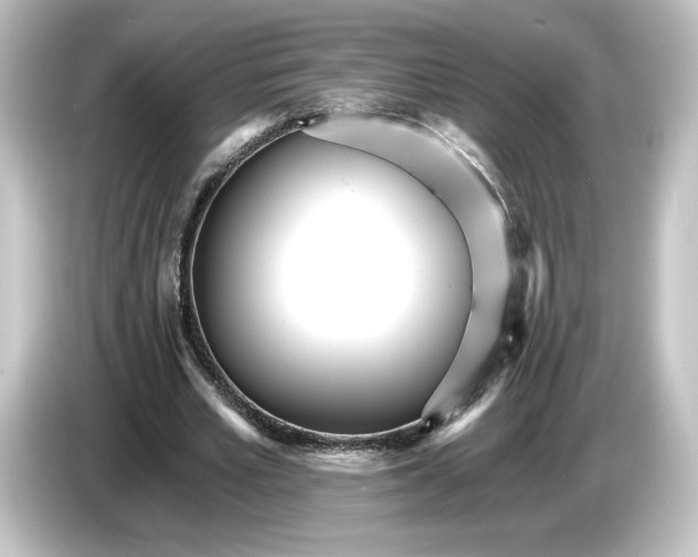 X0000084540581200703161630