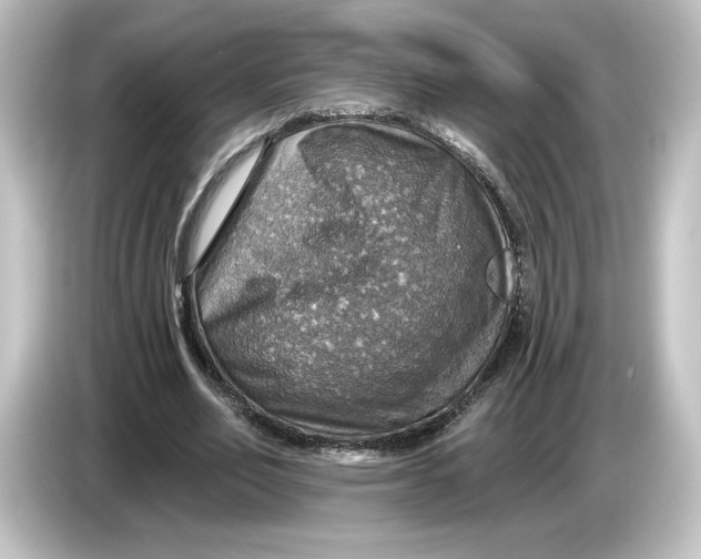 X0000084540582200703161630