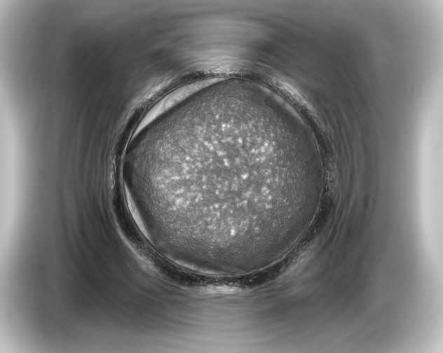 X0000084540586200703161629