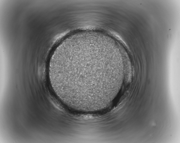 X0000084540588200703161629