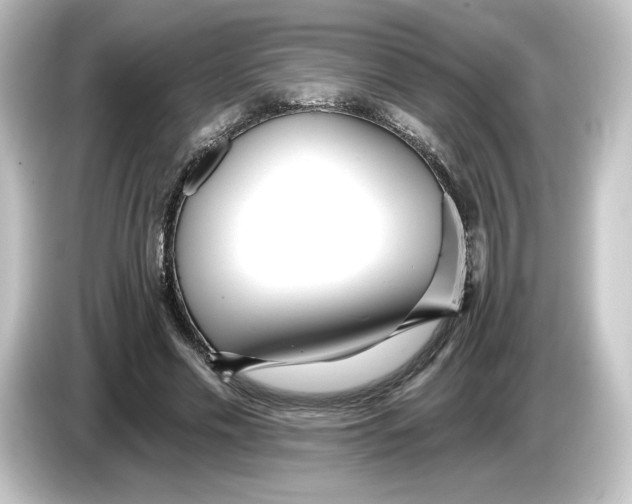 X0000084540589200703161629