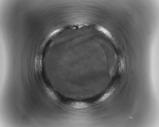 X0000084540590200703161629