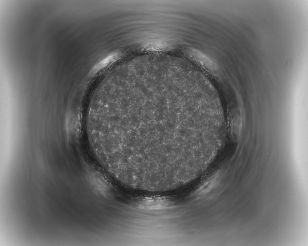 X0000084540591200703161629