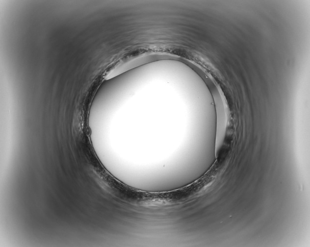 X0000084540593200703161629