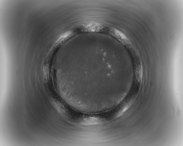 X0000084540594200703161629