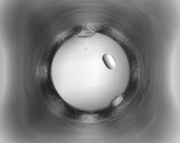 X0000084540595200703161629