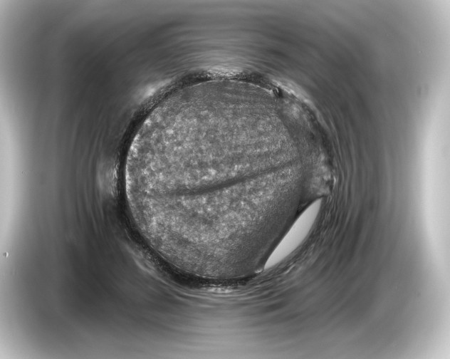 X0000084540596200703161629