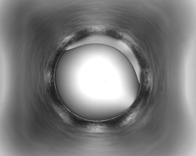 X0000084540597200703161629