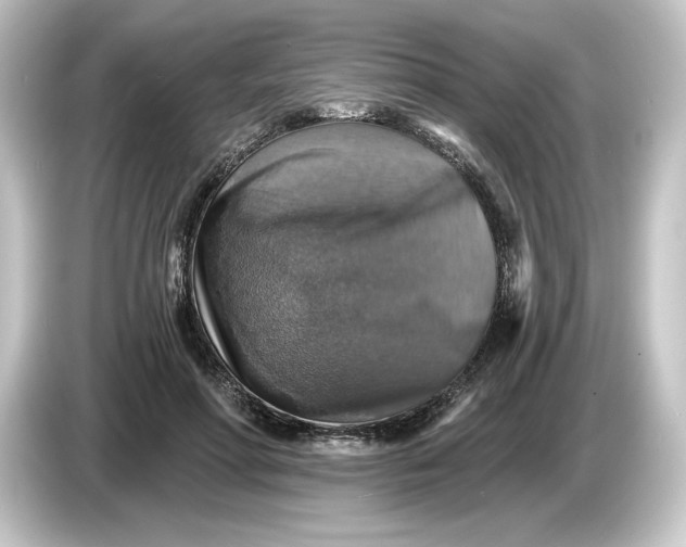 X0000084540598200703161629