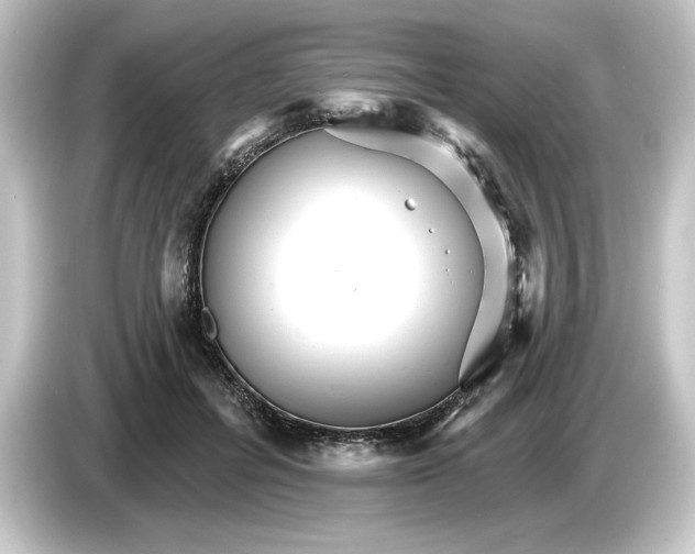 X0000084540600200703161629