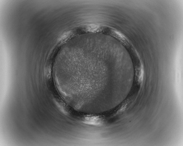 X0000084540602200703161629