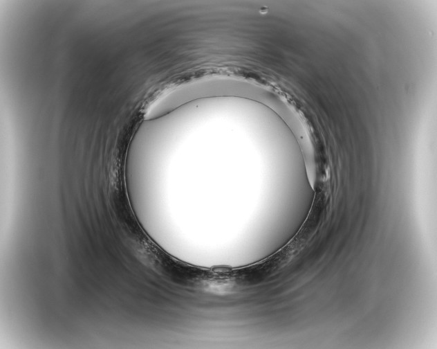 X0000084540604200703161629