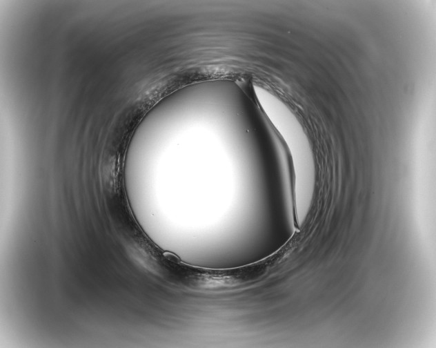 X0000084540605200703161629