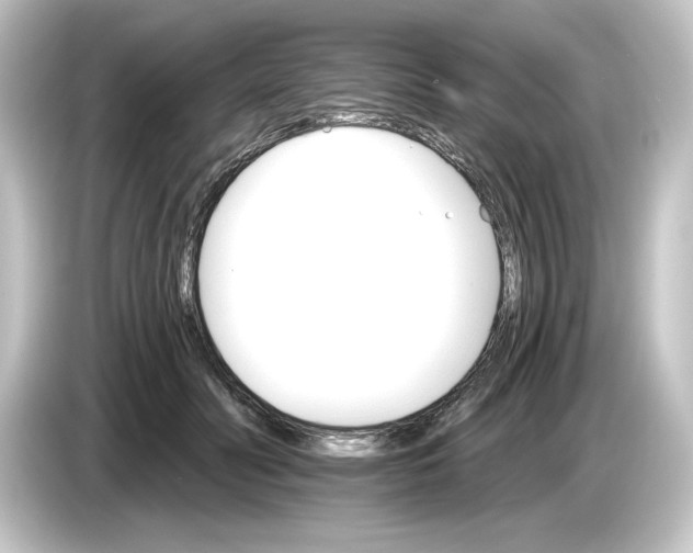 X0000084540606200703161629