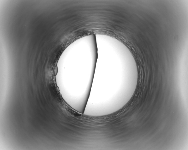 X0000084540609200703161629