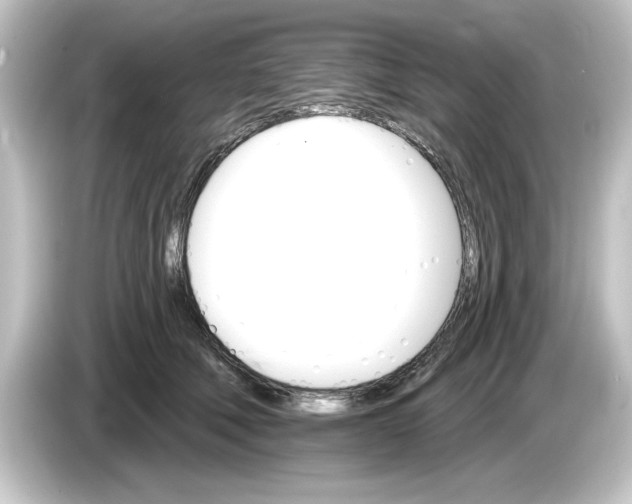 X0000084540610200703161629