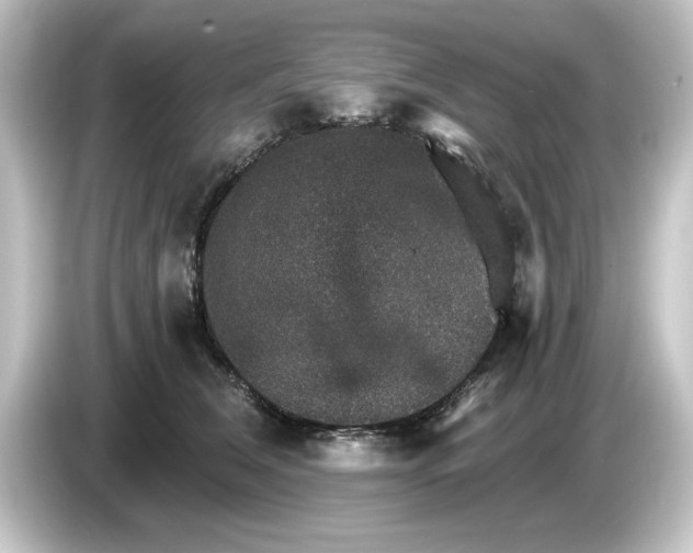 X0000084540612200703161629