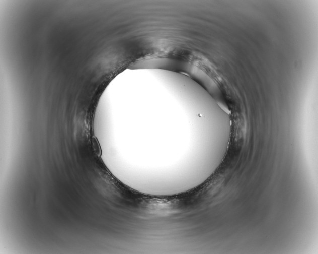 X0000084540613200703161629