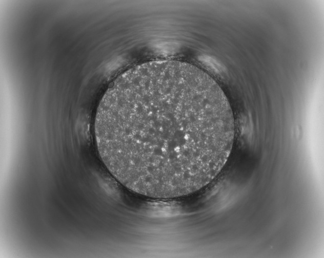 X0000084540615200703161629