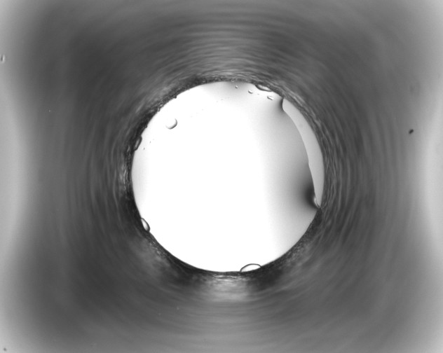 X0000084540617200703161629