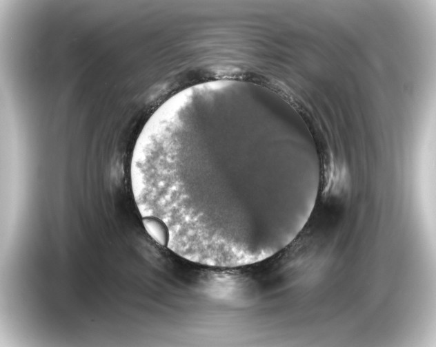 X0000084540618200703161629