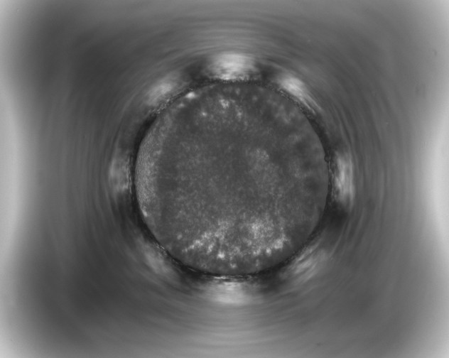 X0000084540620200703161629