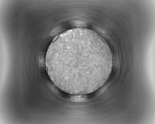 X0000084540622200703161629