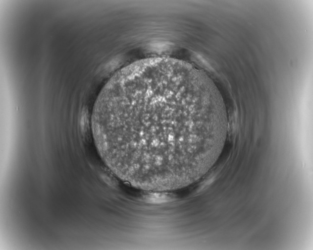 X0000084540623200703161629