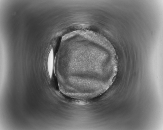 X0000084540624200703161629