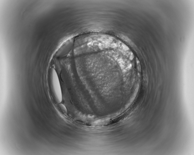 X0000084540626200703161628