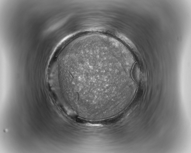 X0000084540628200703161628