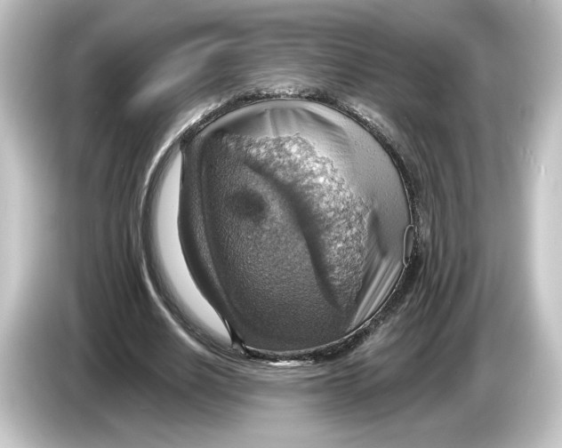 X0000084540630200703161628