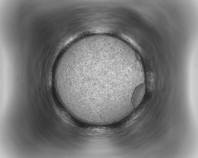 X0000084540631200703161628