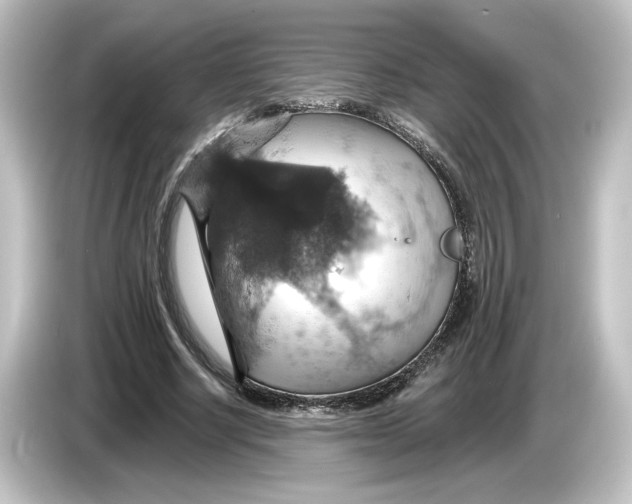 X0000084540634200703161628