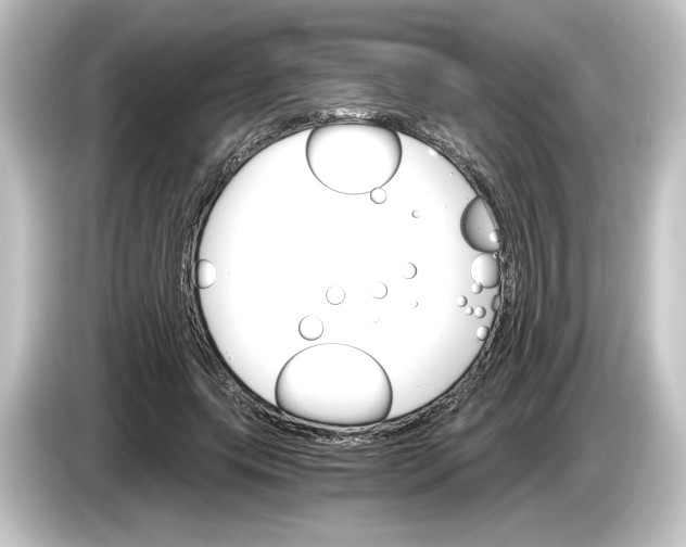 X0000084540639200703161629