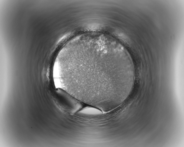 X0000084540640200703161629