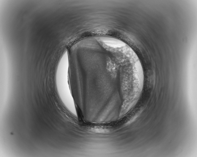 X0000084540641200703161629