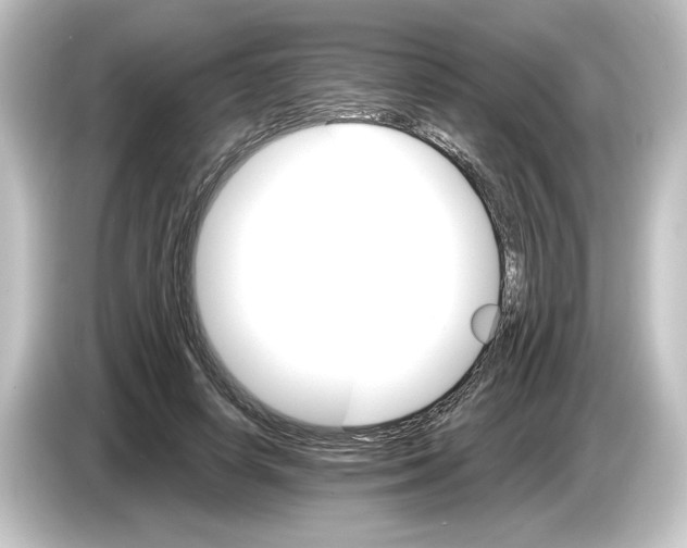 X0000084540642200703161629