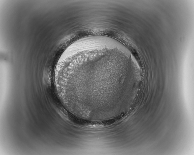 X0000084540644200703161629