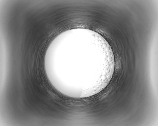 X0000084540646200703161629