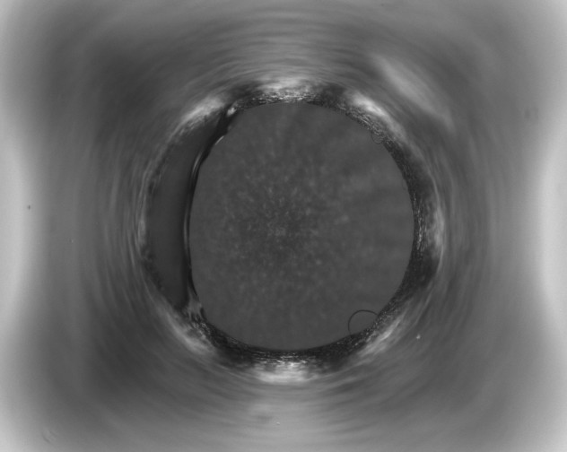 X0000084540647200703161629