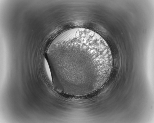 X0000084540648200703161629