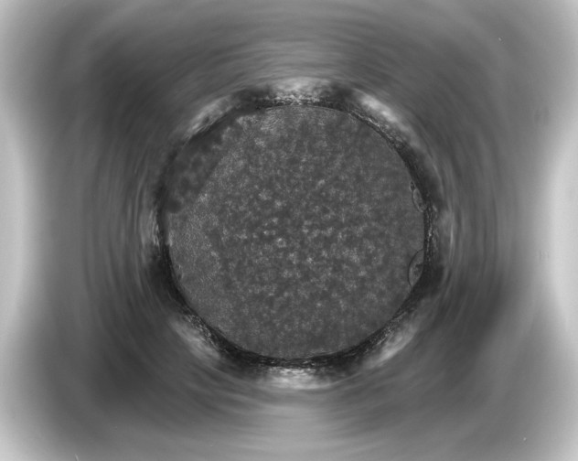 X0000084540649200703161629