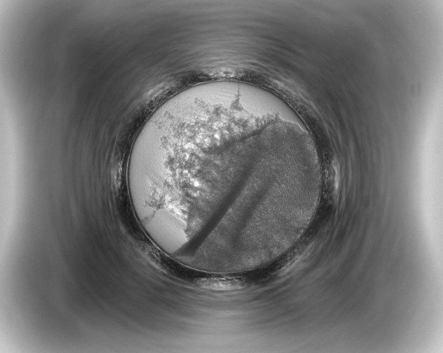 X0000084540652200703161629