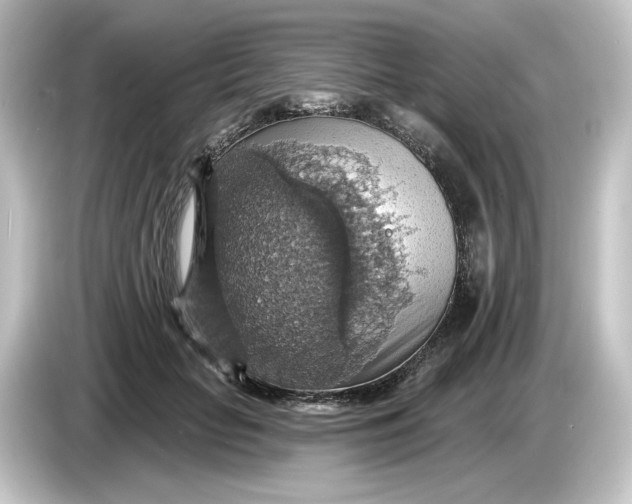 X0000084540653200703161629